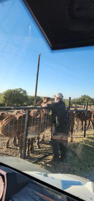 Gallery - Lambert's Ranch